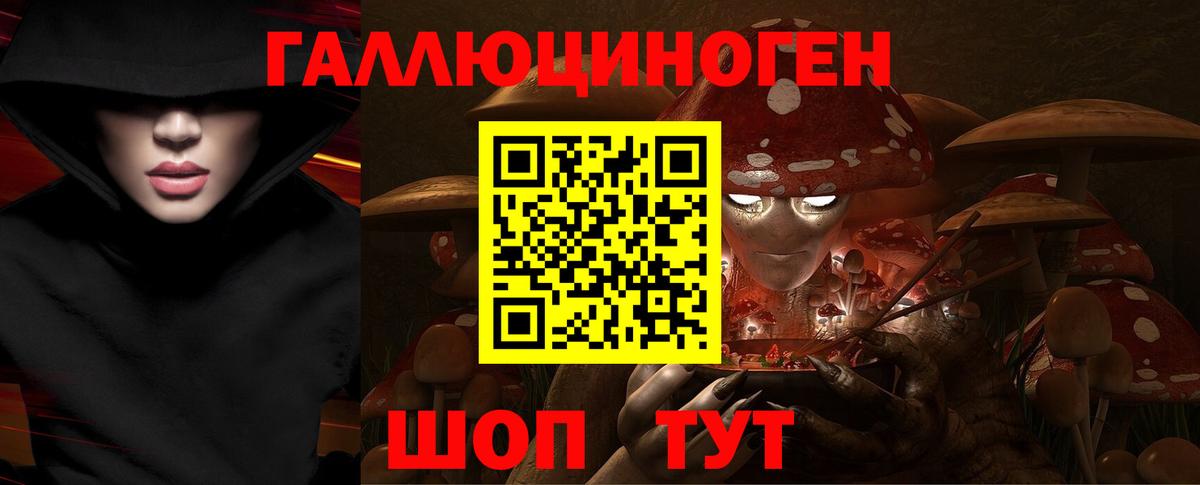 Электрогорск  Псилоцибиновые грибы MAGIC MUSHROOMS  Вход с VPN 